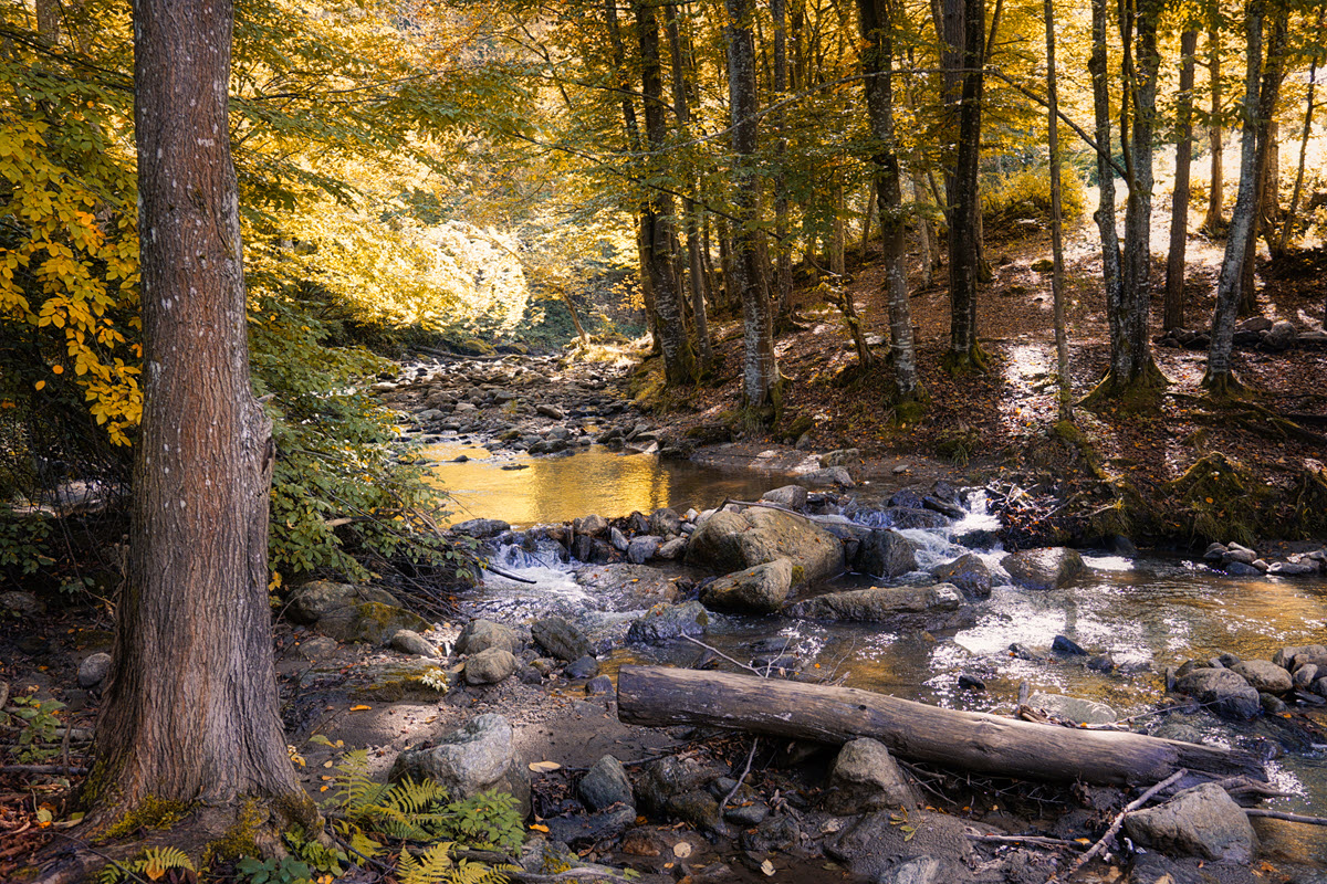 cane creek canyon reserve